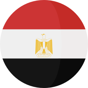 828,436 Egypt Consumer Email List Database (2024 Updated)