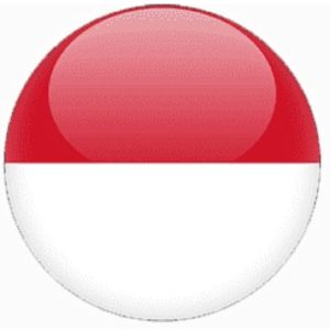 indonesia email list database