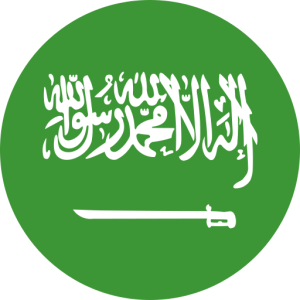 437,385 Saudi Arabia Consumer Email List Database (2024 Updated)