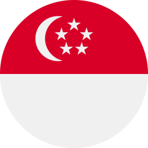 109,233 Singapore Consumer Email List Database (2024 Updated)