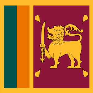2,710,000 Sri lanka Consumer Email List Database (2024 Updated)