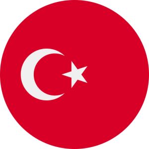367,055 Turkey Consumer Email List Database (2024 Updated)